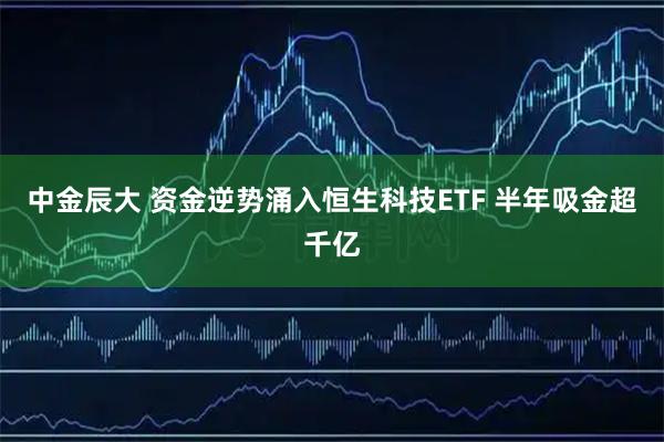 中金辰大 资金逆势涌入恒生科技ETF 半年吸金超千亿